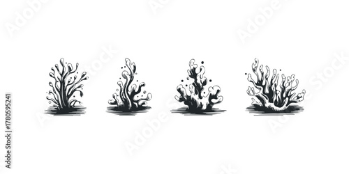 Hand Drawn Coral Collection on White Background