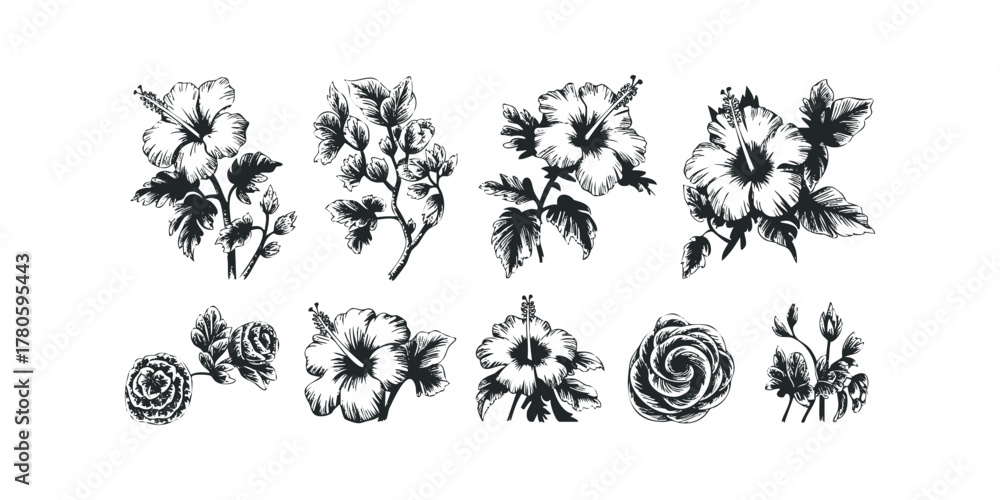Fototapeta premium Collection of Hand Drawn Hibiscus and Rose Botanicals