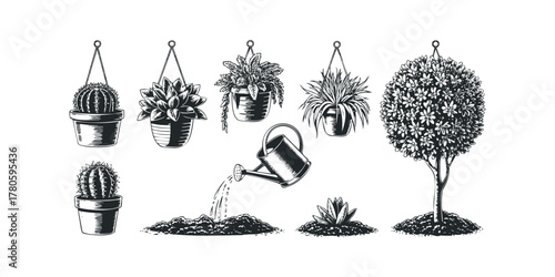 Assorted potted plants and a watering can shown in monochrome sketch style