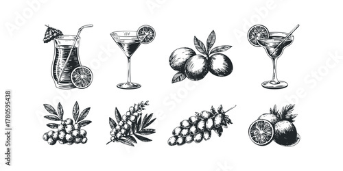 Hand Drawn Cocktail Drink and Citrus Fruits Collection