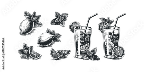 Lemonade with Mint and Citrus Slices Hand Drawn Style