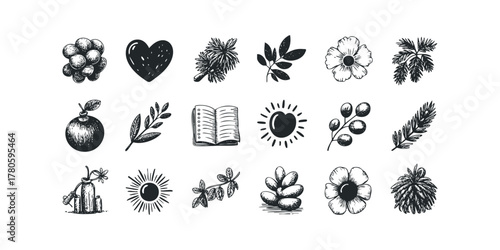 Collection of Hand Drawn Botanical and Symbol Elements
