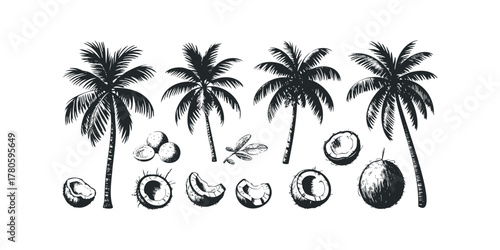 Tropical Palm Tree and Coconut Collection Hand Drawn