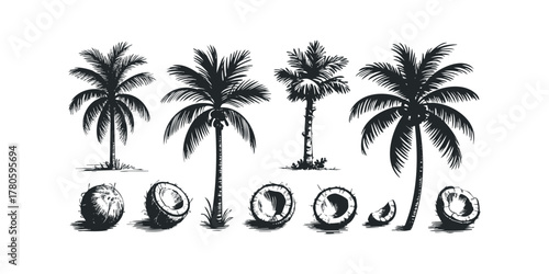 Collection of Palm Trees and Coconuts Graphic Elements