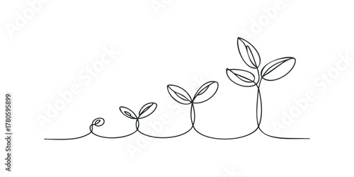 Line art showing growing plant stages