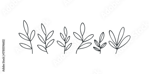 Six Hand Drawn Branch Sprigs with Oval Leaves