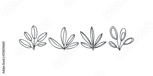 Collection of Four Hand Drawn Botanical Leaf Sprigs