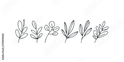 Minimalist line art botanical branch collection