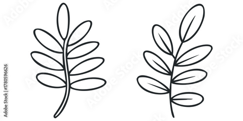 Two minimal botanical line drawings of leaves