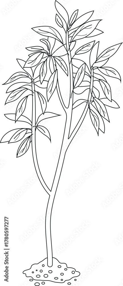 Naklejka premium Coloring page with deciduous tree isolated on white background