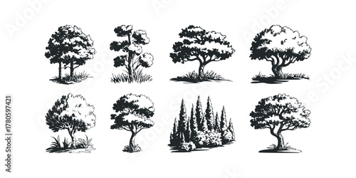 Collection of diverse trees and foliage depicted as black silhouettes