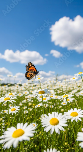 Stunning Monarch Butterfly Flying Above a Blooming Daisy Meadow Against a Clear Blue Sky