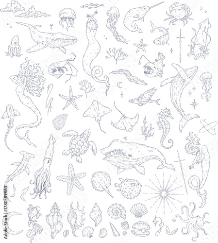 Coastal sea line art elements, mermaid, whales, fishes, shells. Marine graphics. Ocean animals and tale creatures.