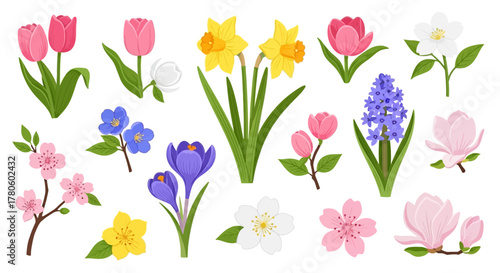 Vibrant collection of fresh spring blossoms, a diverse assortment of colorful flowers including tulips, daffodils, and magnolias, perfect for seasonal designs