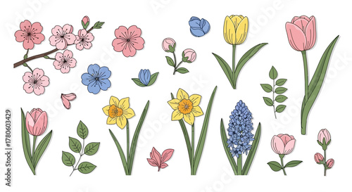 Spring Floral Vector Graphics Cherry Blossoms, Tulips, Daffodils, Hyacinths, and Rose Buds