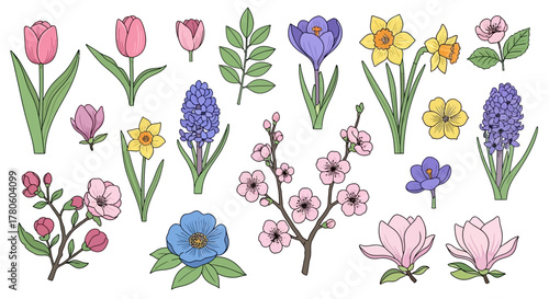 Springtime Blooms Collection A Vibrant Array of Floral Delights for Your Creative Projects