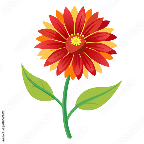 gaillardia gallo yellow flower vector