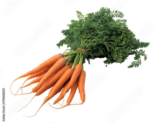 Bunch of fresh carrots with green tops, isolated on transparent background
