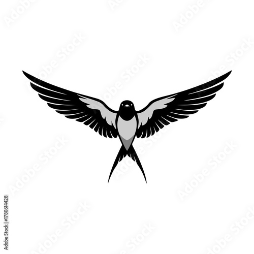 Elegant Swallow Bird Silhouette in Flight with Wings Spread Wide