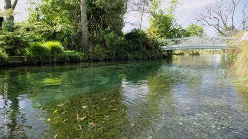 Few ducks are swimming in a calm river that flows peacefully in an urban park on a sunny day, with surrounding trees, fresh green lawn and a bridge in the background. a 4K video clip.
