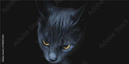 black cat on a black background