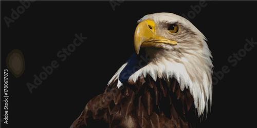 american bald eagle in the zoo