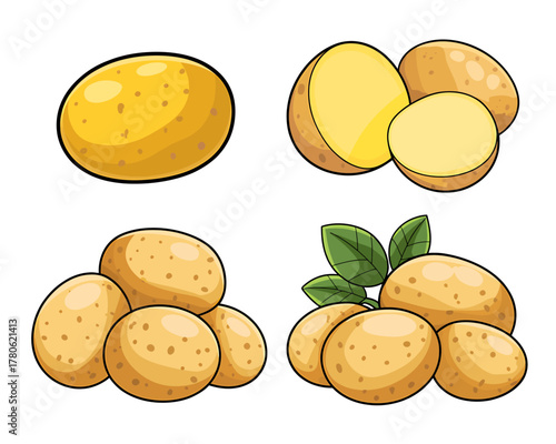Illustration of Fresh Potatoes in Different Arrangements with Clipping Path for Graphic Design and Culinary Projects