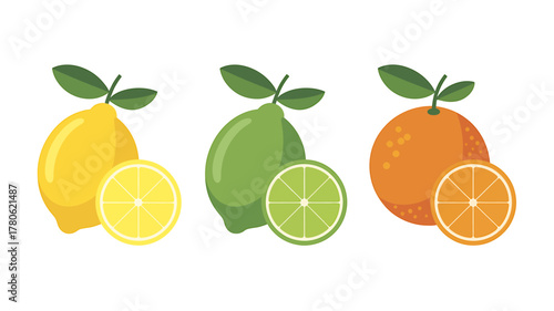 Colorful Citrus Fruits Graphic Illustration Featuring Lemon Lime and Orange Slices for Healthy Eating and Vitamin C Concepts