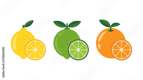 Fresh Citrus Fruits Lemon Lime and Orange with Slices Vector Illustration for Healthy Eating and Juice Concepts
