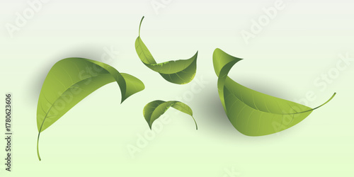 Fresh green leaves floating in air, eco nature concept
