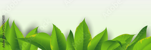 Fresh spring leaf frame for banner or poster