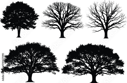 Tree silhouette set, seasonal contrast illustration, black vector trees, bare and leafy design, nature growth stages, botanical graphic concept