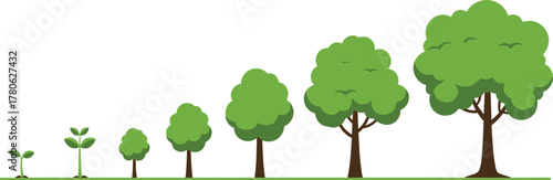 Tree growth stages illustration, sprout to mature tree, nature development concept, environmental education graphic, plant lifecycle evolution, sustainability design, ecology awareness artwork, 