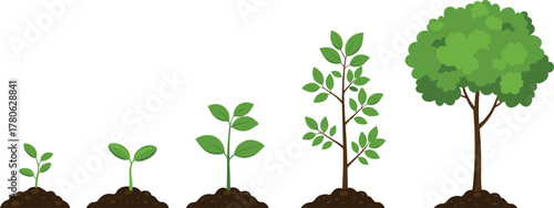 Plant growth stages illustration, sprout to tree development, biology education concept, environmental science learning, nature life cycle diagram, agricultural growth process, eco 