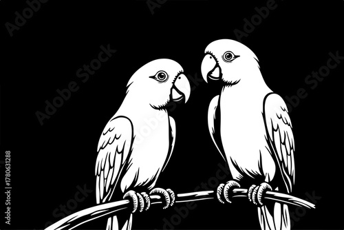 “Twin Parrot Perch Illustration”