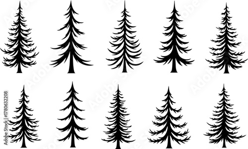 Vintage Evergreen Tree Silhouette Set