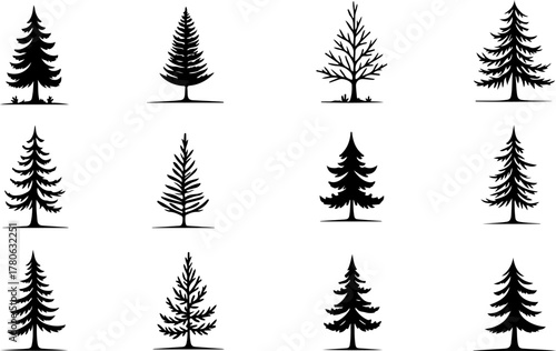 Vintage Evergreen Tree Silhouette Set