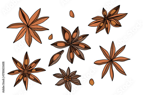 Large set of star-shaped anise seeds, flat style spicy aromatic spices on white background