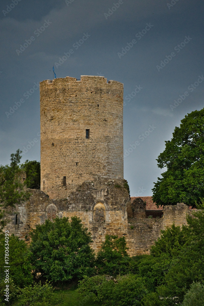 Fototapeta premium A castle with a tower and a blue flag on top