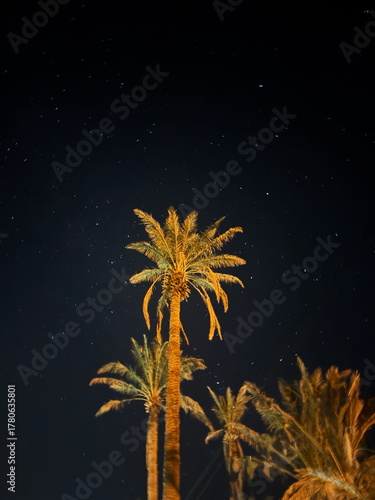 Tableau sur toile Nuit etoilee a Zagora Maroc