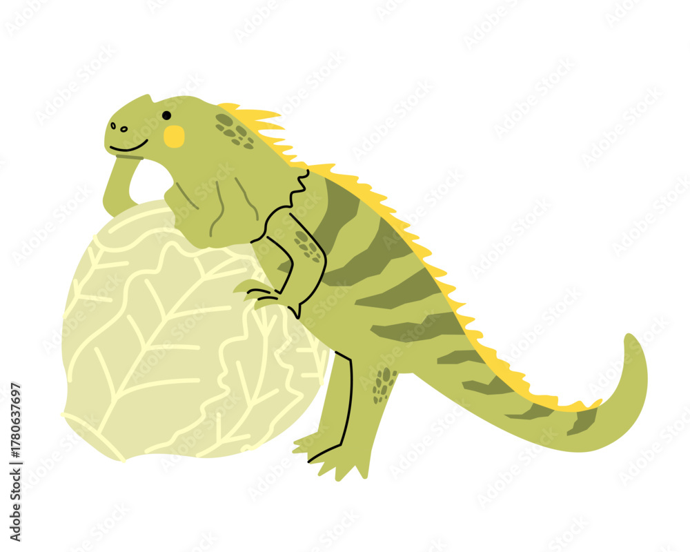 Obraz premium Green iguana lizard with Iceberg lettuce. Isolated vector illustration. Flat cartoon style. Learning english 
