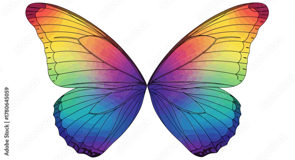 Obraz premium Vibrant Rainbow Butterfly Wings Isolated on a White Background.