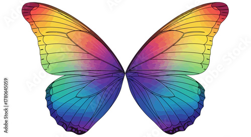 Vibrant Rainbow Butterfly Wings Isolated on a White Background.