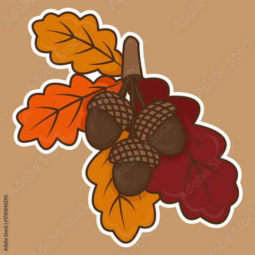 Graphic oak branch with acorns and leaves. Linear art botanical design for printing on fabric and paper