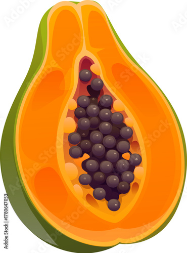 Cartoon tropical ripe raw halved papaya fruit with orange flesh, clustered black seeds, smooth skin and juicy texture. Exotic healthy fruit rich in vitamins, enzymes and antioxidants, healthy eating