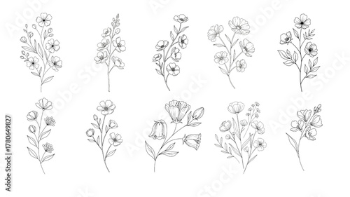 Minimalist Botanical Wildflower Line Art Set Simple Floral Stem Outlines Hand Drawn Vector for Wedding Invitations
