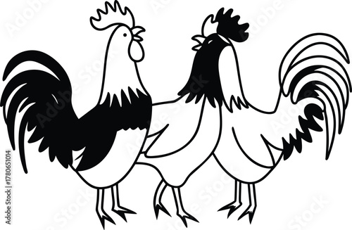 rooster and cock