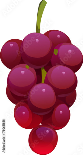 Cartoon bunch of ripe purple grapes with glossy round berries and green stem. Isolated vector autumn fall season fruit, healthy food, ingredient for wine making, seasonal vitamins, grape cluster