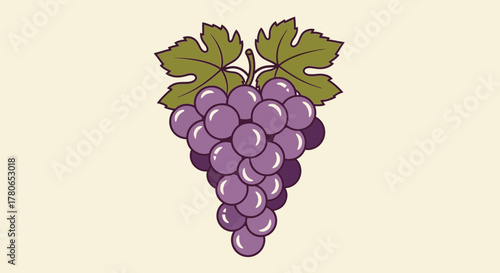 A charming cartoon illustration of a purple grape bunch with leaves