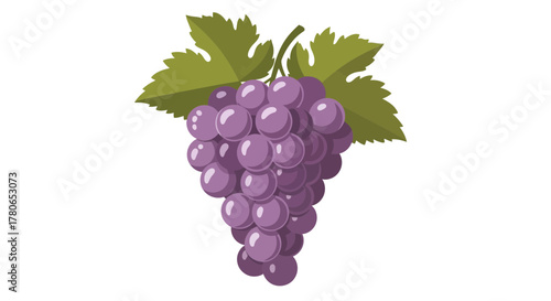 A vibrant illustration of a bunch of grapes, isolated on a white background